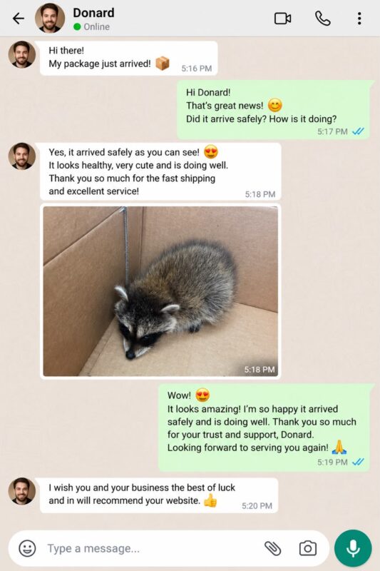 Raccoon Care And Adopt