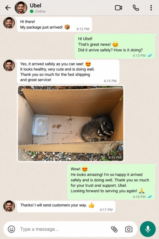 Raccoon Care And Adopt reviews