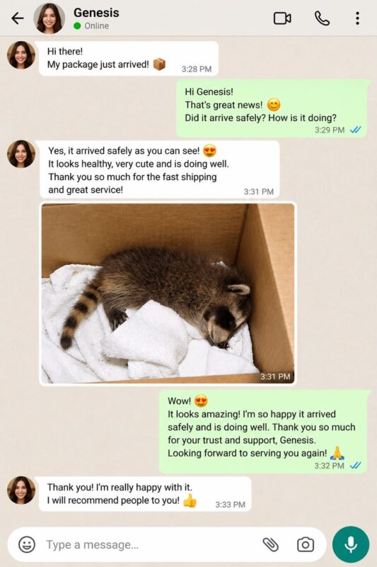 Raccoon Care And Adopt reviews
