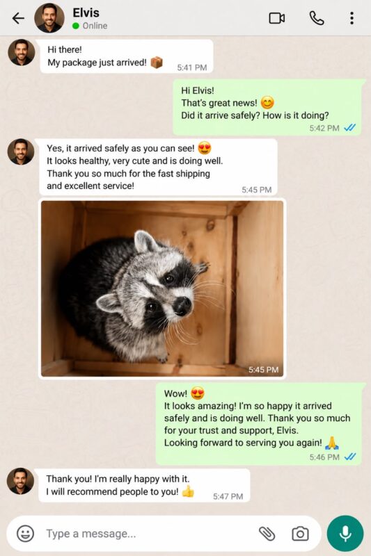 Raccoon Care And Adopt reviews