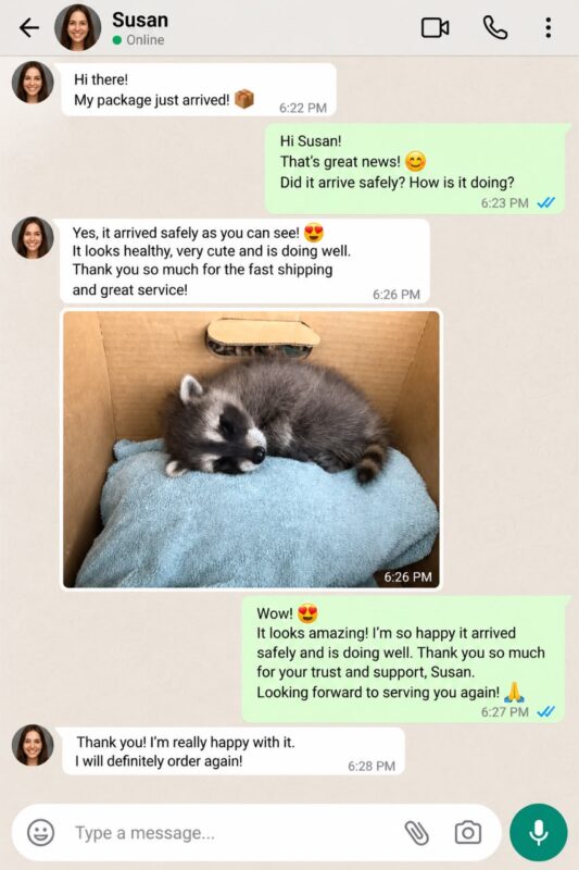 Raccoon Care And Adopt reviews