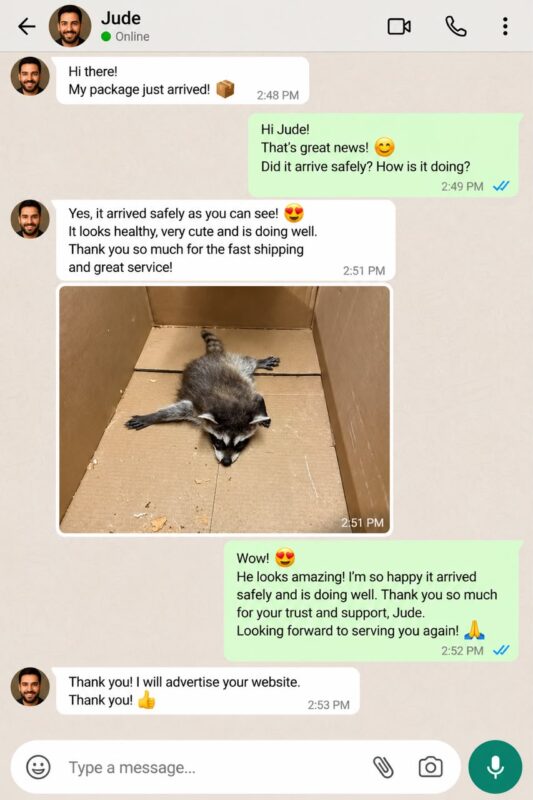 Raccoon Care And Adopt reviews