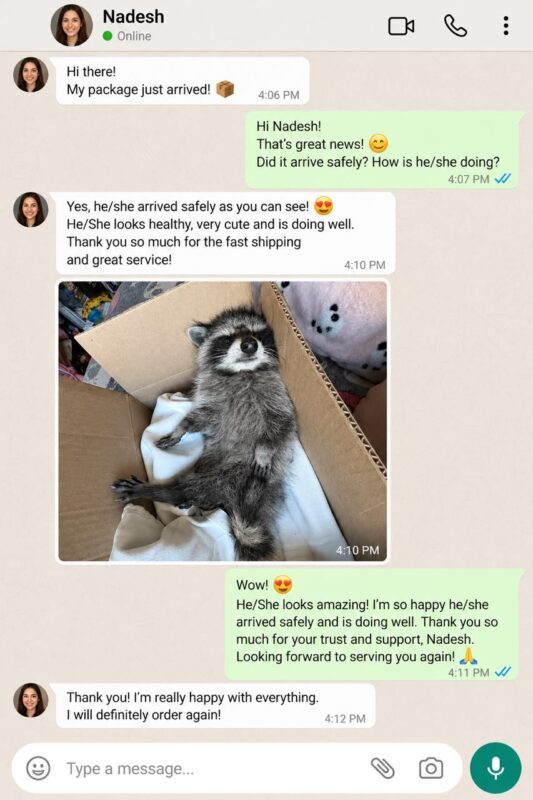Raccoon Care And Adopt reviews