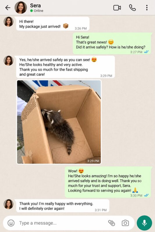 Raccoon Care And Adopt reviews
