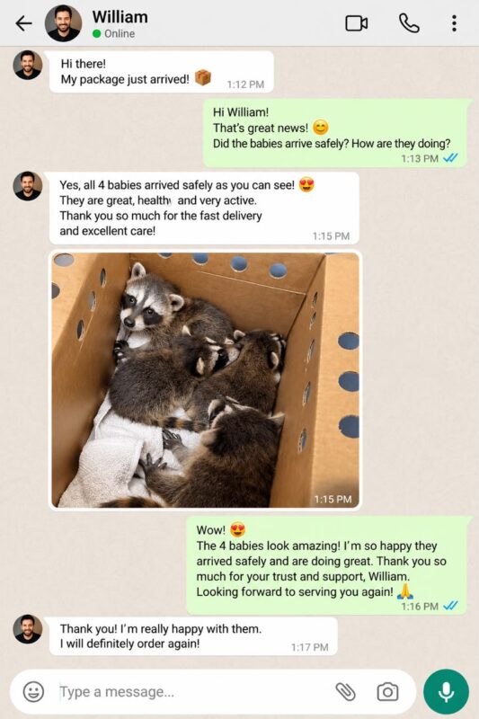 Raccoon Care And Adopt reviews