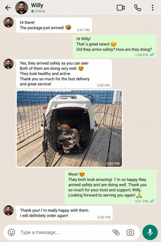 Raccoon Care And Adopt reviews