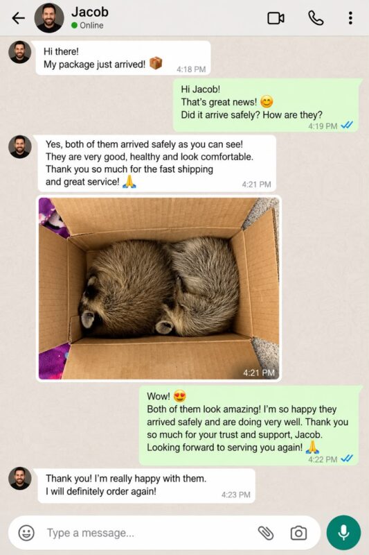Raccoon Care And Adopt reviews