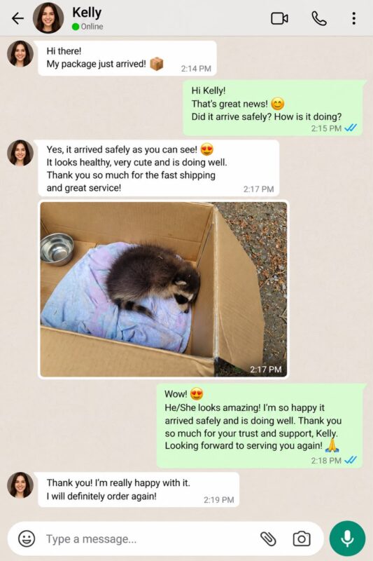 Raccoon Care And Adopt reviews
