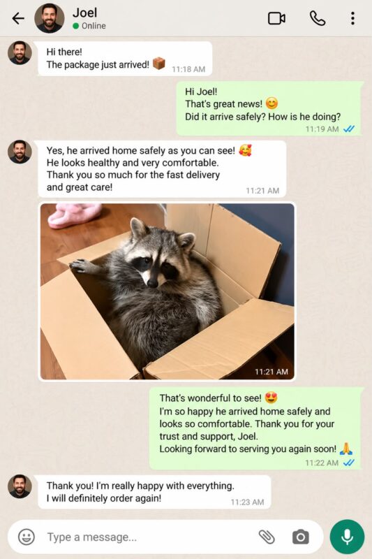 Raccoon Care And Adopt reviews