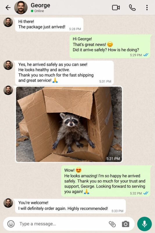 Raccoon Care And Adopt reviews