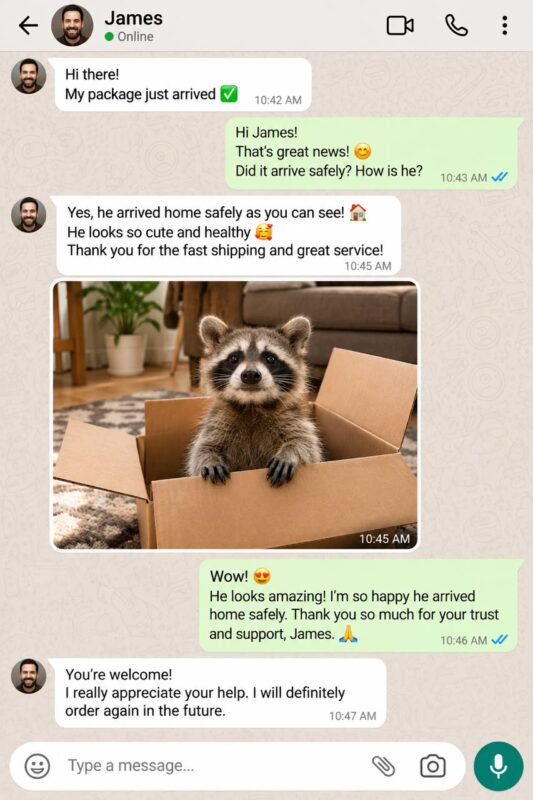 Raccoon Care And Adopt reviews