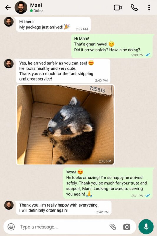 Raccoon Care And Adopt reviews