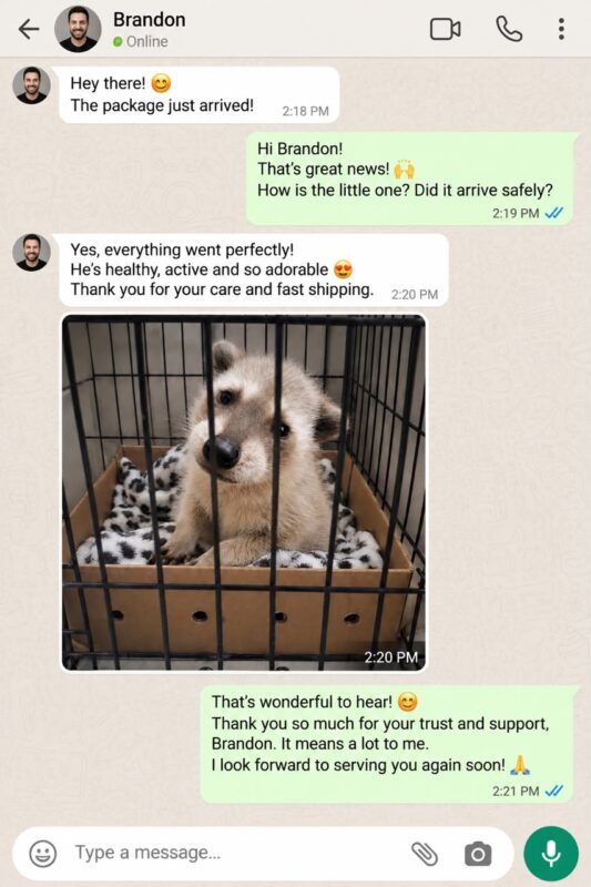 Raccoon Care And Adopt reviews