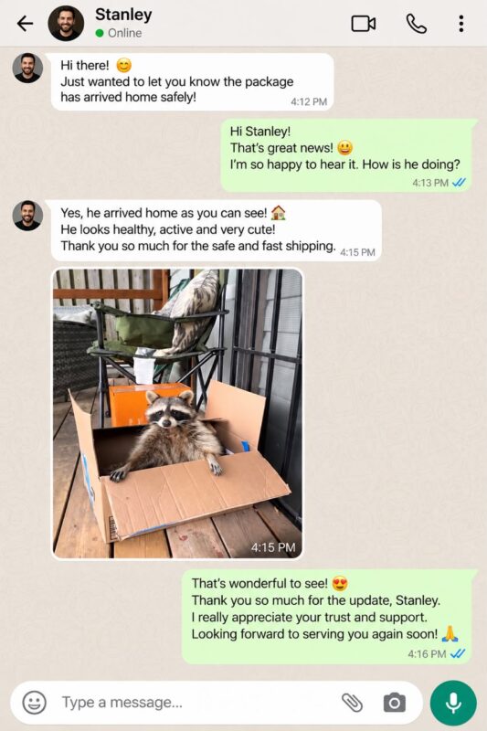 Raccoon Care And Adopt reviews