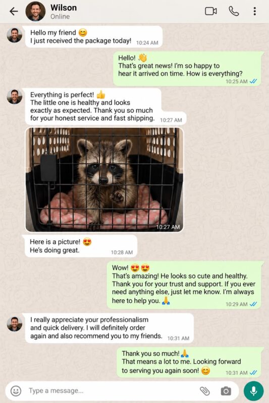 Raccoon Care And Adopt reviews