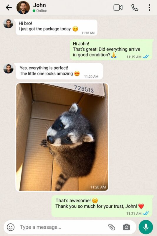 Raccoon Care And Adopt reviews