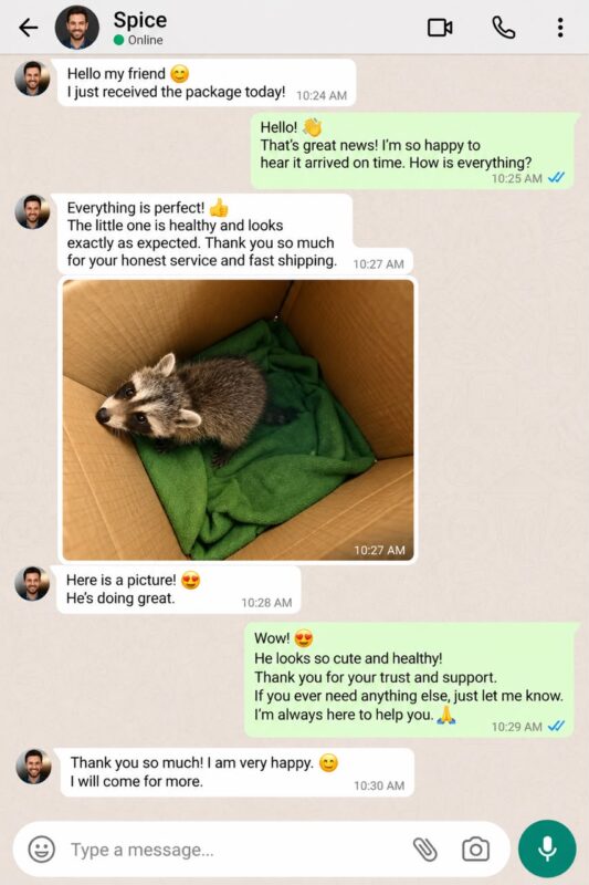 Raccoon Care And Adopt reviews