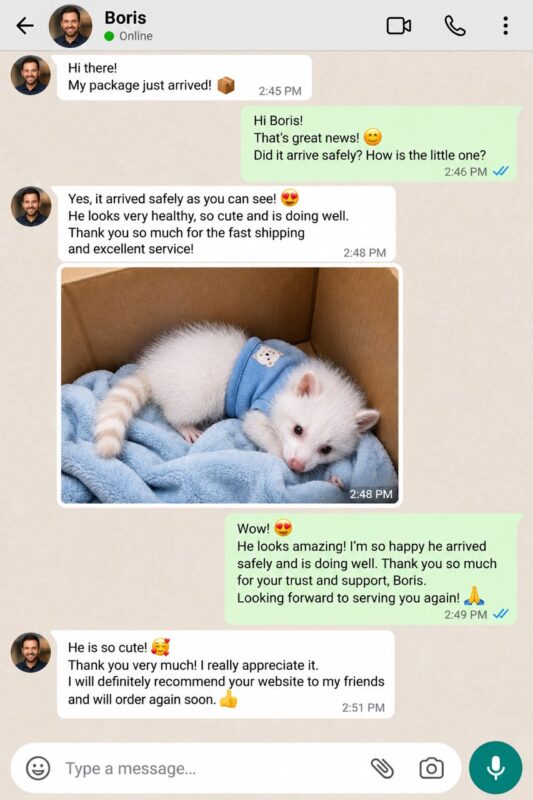 Raccoon Care And Adopt reviews